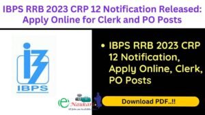 IBPS RRB 2023 CRP 12